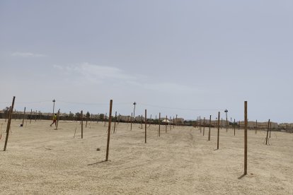 Preparativos a toda marcha para el Dreambeach 2024.