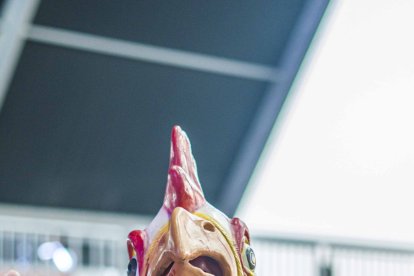 Un joven luce una careta de gallo durante uno de los shows del festival.