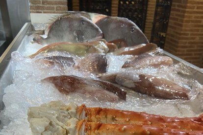 Pescado fresco y de calidad, colocados a la temperatura ideal para conservarlos en buen estado.