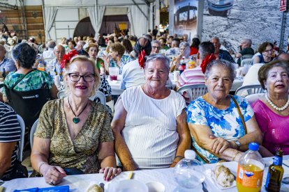 Homenaje a los Mayores en la Caseta Municipal.
