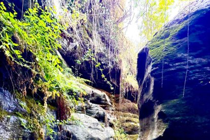 Imagen compartida en redes por Javier Aureliano García.