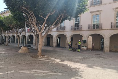 Comienzo de las obras en la Plaza Vieja.