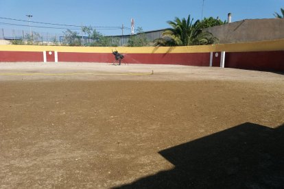 Plaza de toros Paraje Guillén.