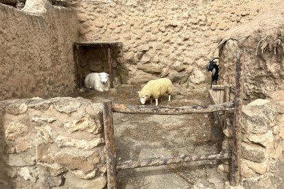 Junto a las casas de piedra había pequeños espacios adosados en los que se realizaban distintas tareas.