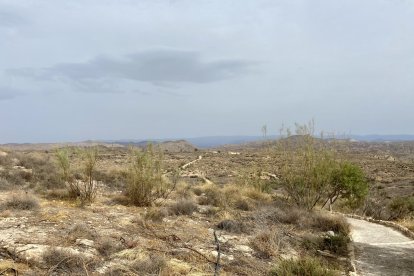 Entorno paisajístico en el que se sitúa el yacimiento.