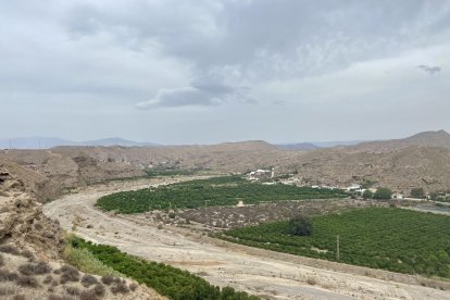 Alrededores de Los Millares. En la imagen se puede observar claramente el cauce del Río Andarax y de la rambla de Huéchar.