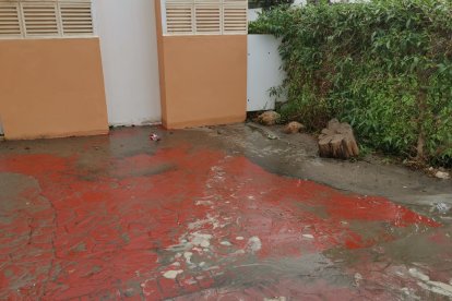 Efectos costeros inundan la zona del \'Natsun\'.