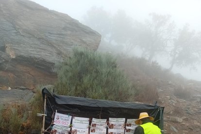 La romería de la Virgen de la Cabeza.