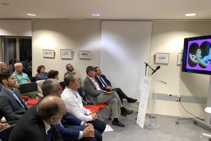 Los asistentes visionan un vídeo recopilatorio de los 25 años de Antama.