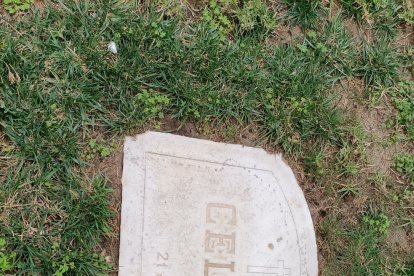 Almería jamás olvidará a Celia Viñas.