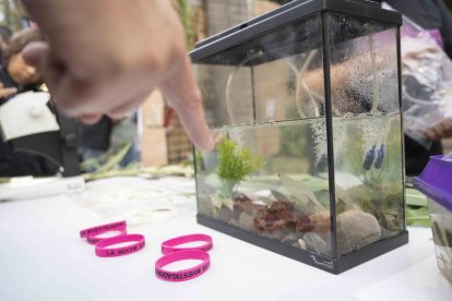 La ciencia, protagonista.