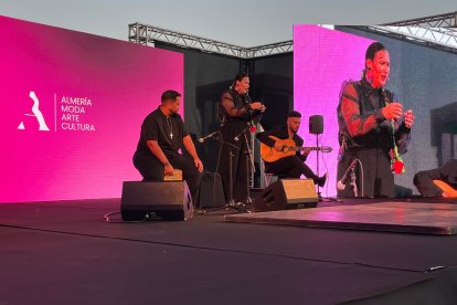 Actuación de la cantaora, Anamar.