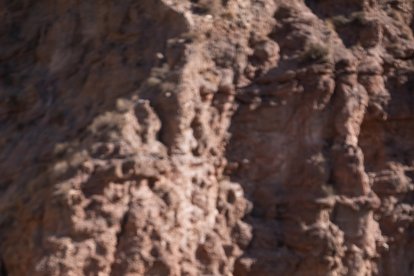 Imágenes de la segunda etapa de la Skoda Titan Desert Almería.