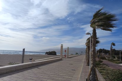 La fuerza de los vientos del suroeste.