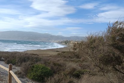 Pocos se animaron a darse una vuelta por zonas de costa.