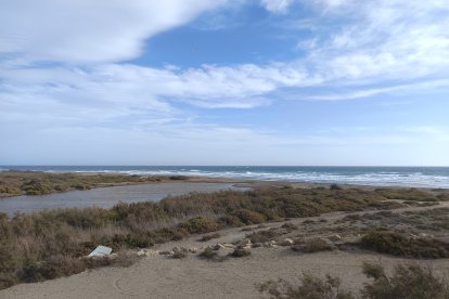 La desembocadura del Andarax este miércoles.