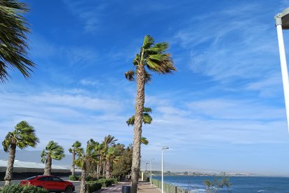 Camino de la Universidad el viento también era muy fuerte.