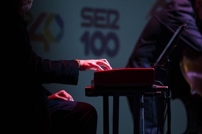 Detalle del teclista durante su actuación musical.