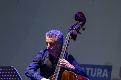 Contrabajista durante la actuación musical de Frans Llorens durante la gala.