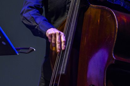 Contrabajista durante la actuación musical de Frans Llorens durante la gala.