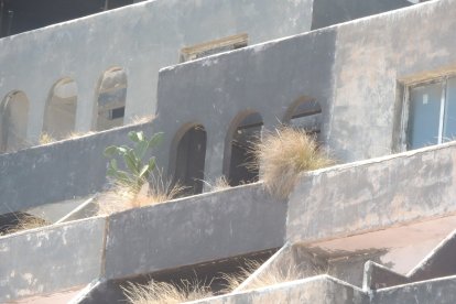La vegetación se abre paso en las terrazas de las habitaciones.
