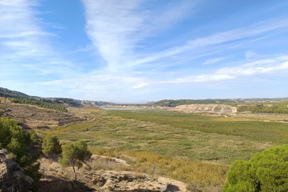 La cola del pantano donde la vegetación no para de crecer.