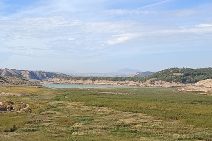 Al fondo se divisa el agua. Toda la zona verde debería estar cubierta.