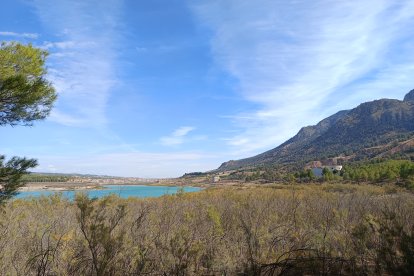 La vegetación se ha ido apoderando de la zona al bajar el agua.