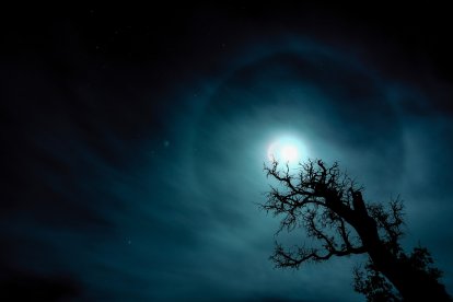 MEJOR FOTOGRAFÍA DEL SAFARI FOTOGRÁFICO - D. Miguel José Avalos González 