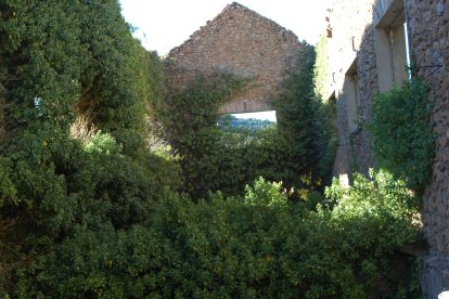 CATEGORÍA JUNIOR (hasta 18 años) - Primer Premio D. Antonio Luis García Schröter.