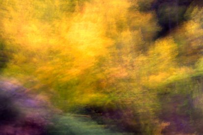 CUATRO MEJORES FOTOGRAFÍAS DE CATEGORÍAS ESTABLECIDAS ENTRE LOS OBJETIVOS DE CAZA - D. José Vico Arias 