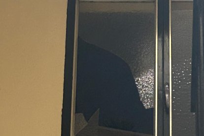 Desperfectos causados por el granizo este lunes.