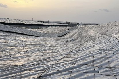 Daños en los invernaderos de El Ejido.