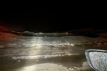 Invernaderos afectados en El Ejido por el temporal.