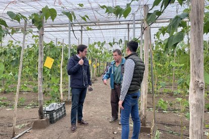 El alcalde de El Ejido evalúa los daños tras el temporal.
