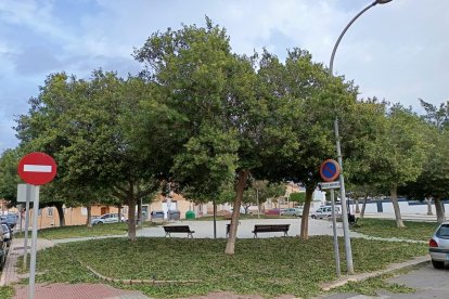 La plaza Sagitario en El Ejido.
