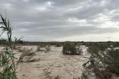 Río Almanzora a su paso por Zurgena.