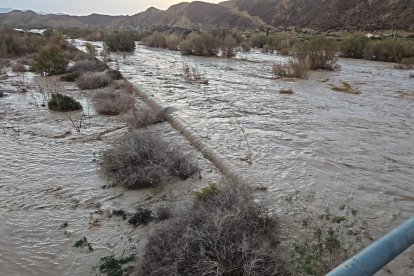 Río Almanzora a su paso por Zurgena.