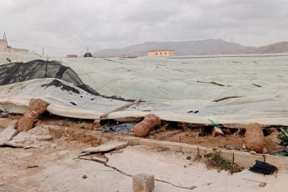 Daños en invernaderos de El Ejido en la zona de Fuente Nueva.