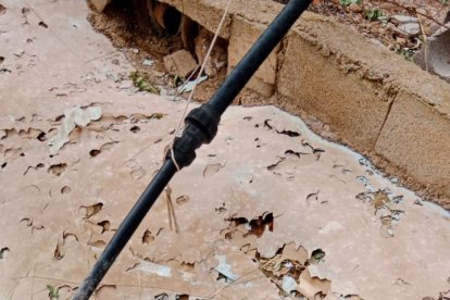 Daños en balsas de explotaciones agrícolas en Fuente Nueva.