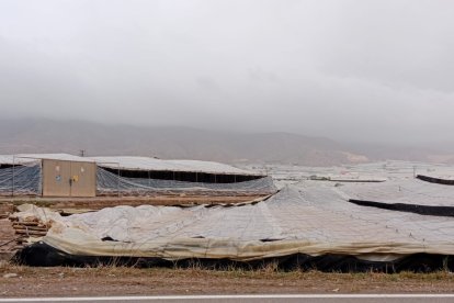 Invernaderos afectados en El Ejido.