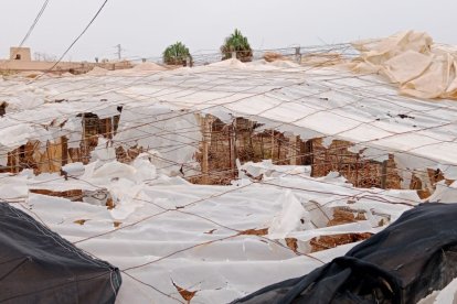 Invernaderos afectados en El Ejido.
