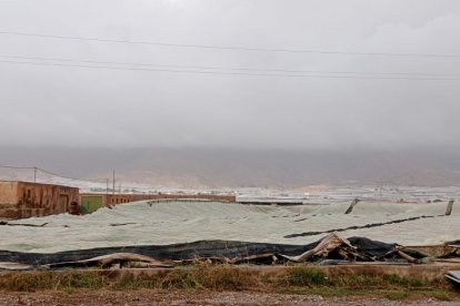 Invernaderos afectados en El Ejido.