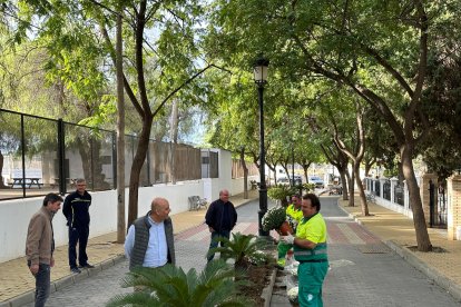 El municipio de Huércal-Overa también embellece su cementerio para el puente de noviembre.