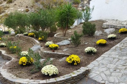 Macael no se olvida de arreglar su camposanto.