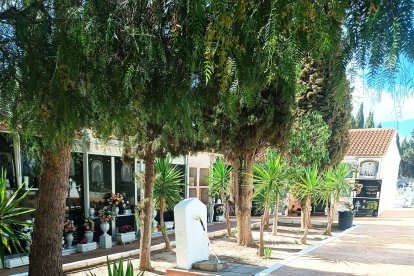 Cantoria ha reforzado las labores de limpieza, jardinería y otros detalles para organizar el cementerio municipal.