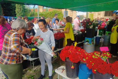 Día de Todos los Santos en el Cementerio de San José y Santa Adela de Almería.