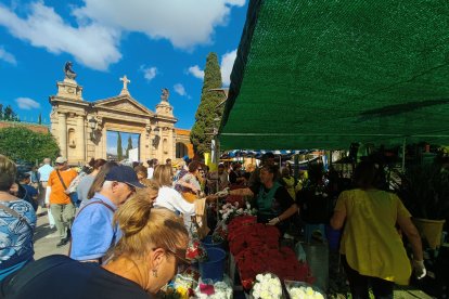 Margaritas, claveles, gladiolos y lirios, las flores más solicitadas.