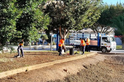 Reparación de los daños causados por la DANA en El Ejido.