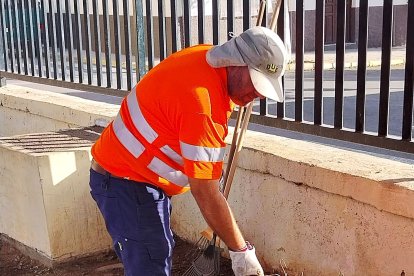 Reparación de los daños causados por la DANA en El Ejido.